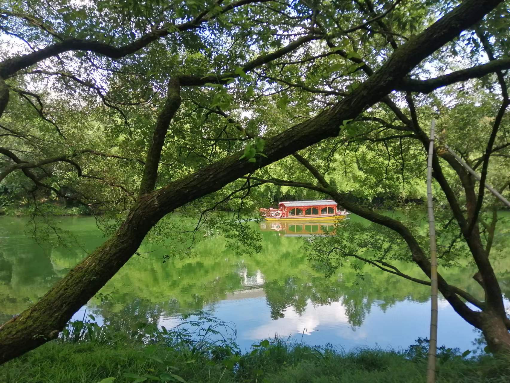 個(gè)人所得稅正確申報(bào)，避免對(duì)申報(bào)戶籍的員工造成影響